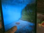 Walton Primo Walpad 8 (Used)