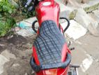Walton Ranger 2013