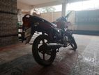 Walton Ranger 2019