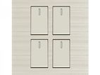 Walton Safe Gang Switch & Socket(roby Series)