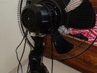 Walton Stand Fan 24''