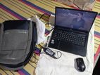 Walton Tamarind Ex310a 2024
