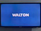 Walton TV