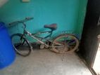 Warrior Bicycle for Sell