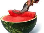 Water melon slicer