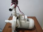 Water Pump Pedrollo