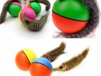Water Rat Ball