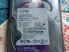 WD 1 TB Harddisk