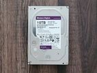 W.D 10TB Hard Disk