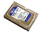 WD 500 GB Desktop Hard Drive(1 Years Warrenty)