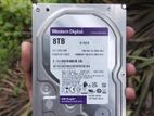 WD 8000GB Harddisk