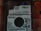 WD Blue 1 TB 5400 RPM