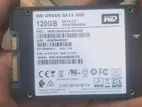 Wd Green