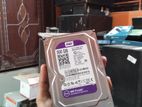 WD Purple Surveillance Hard Drive 500GB