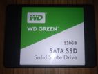 Wd Ssd Card