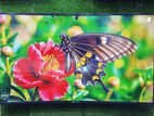 Wecon-50" Inch 4K Android Curved TV