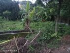 Land For Sell
