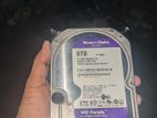 Western Digital