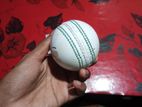 White cricket ball