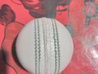 WHITE CRICKET BALL