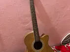 Guitar sale willam
