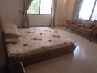 wonderful 3 Bed room fully furnish apt in gulshan 2