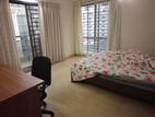 Wonderful 3 Bedroom Full Farnised Flat Rent At Gulshan