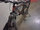 Phoenix Bicycle For Sale