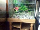 Wood Fish Aquarium