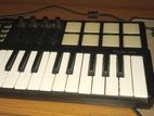 world panda mini midi keyboard