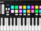 Worlde Orca Mini 25 > MIDI Keyboard For Sell