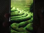 Xiaomi 12 Pro ৮/১২৮ (Used)