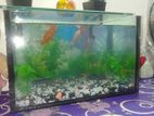 Aquarium for sell