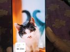 Xiaomi Mi 9T (Used)