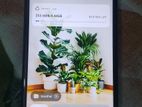 Xiaomi Poco M2 6/64 GB (Used)