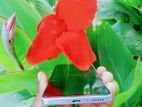 Xiaomi poco m7 pro 5g (Used)