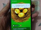 Xiaomi Poco X3 Pro 8/128 (Used)