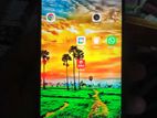 Xiaomi Redmi 10 2022 ভালো ফোন (Used)