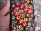 Xiaomi Redmi 10 5g 4/64 (Used)