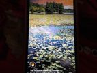 Xiaomi Redmi 10A . (Used)