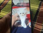 Xiaomi Redmi 10A . (Used)