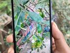 Xiaomi Redmi 10C 4/64 (Used)