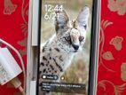 Xiaomi Redmi 12 (Used)