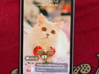 Xiaomi Redmi 6 3/32 (Used)