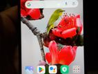 Xiaomi Redmi 9 ফুল ফ্রেস ফোন (Used)