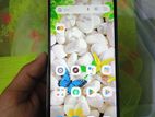 Xiaomi Redmi A1 + (3/32) (Used)