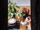 Xiaomi Redmi Note 10 . (Used)
