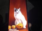 Xiaomi Redmi Note 12 12/256 (Used)