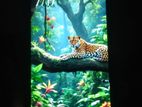 Xiaomi Redmi Note 12 ram 6 rom 128 (Used)