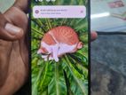 Xiaomi Redmi Note 12 (Used)